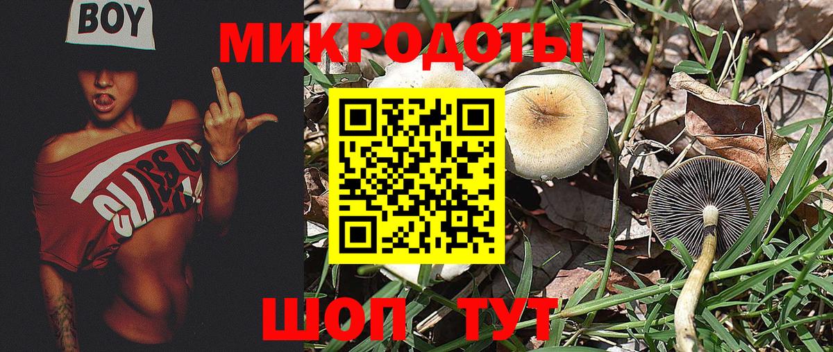 Псилоцибиновые грибы Psilocybe  Галлюциногенные грибы прущие грибы  Вход с VPN  цена   Ревда 