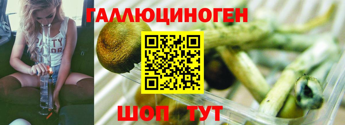 Псилоцибиновые грибы мухоморы Ревда